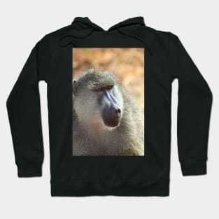 Yellow Baboon Portrait Hoodie